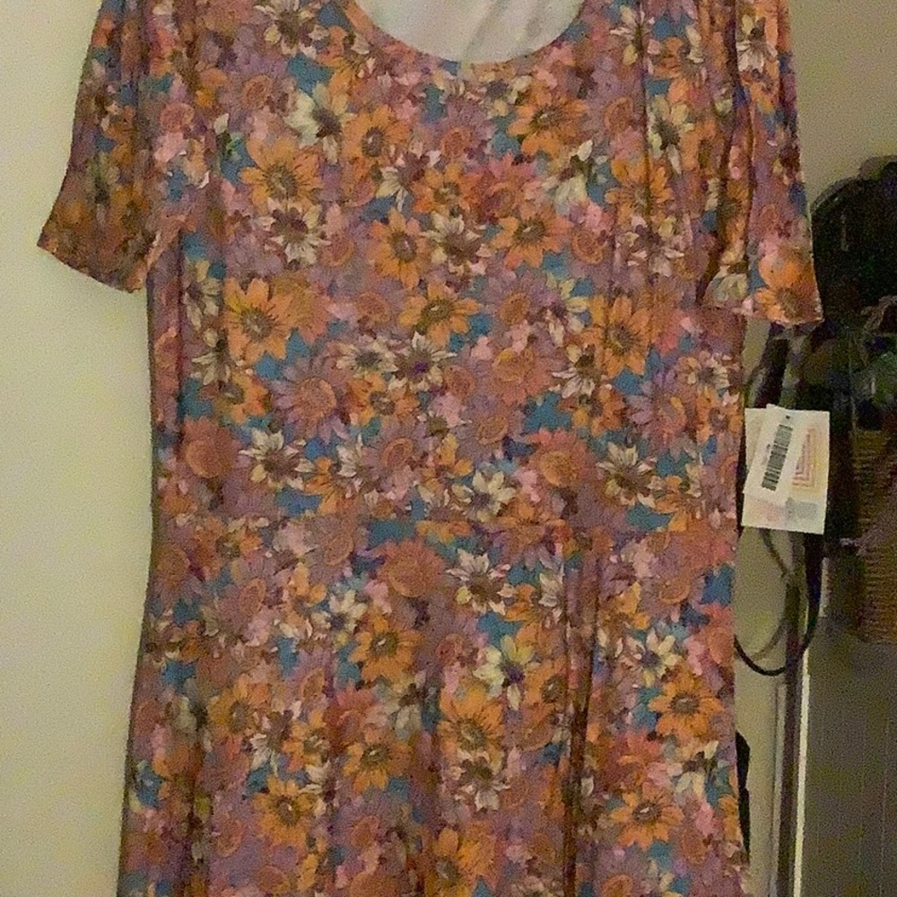 Lularoe Anna dress
